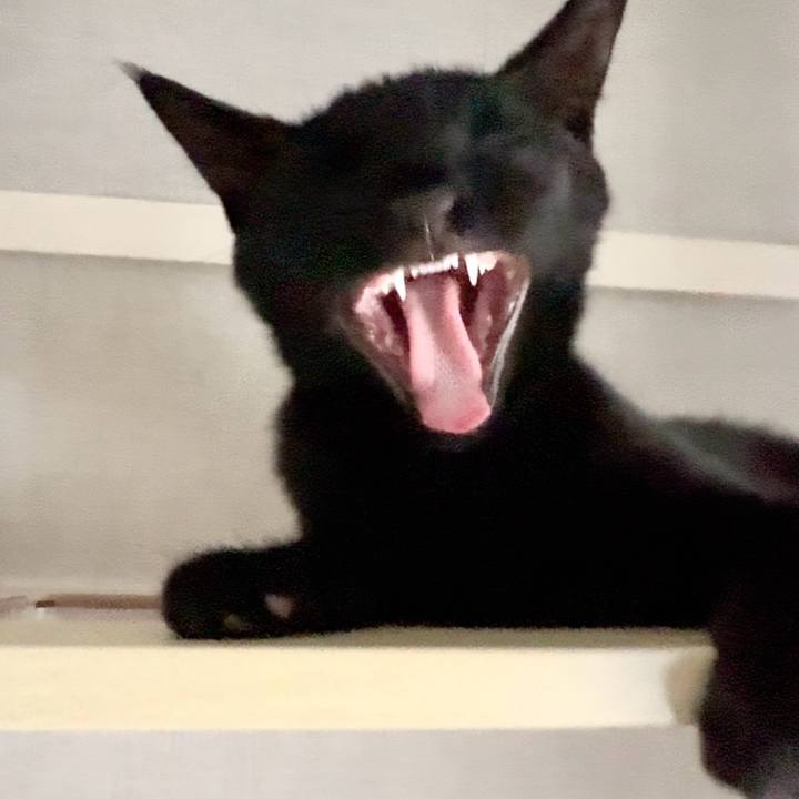 F5cf171b 5503 40fa aa61 b1adc7040604 1727490753243