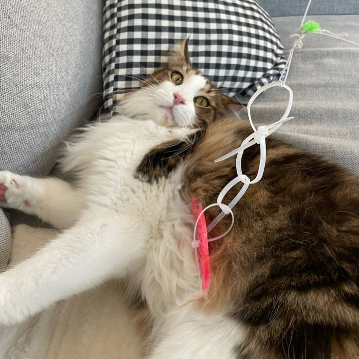 F5cf3a3a ba78 4154 8a12 bc669c53818e 1651442704419