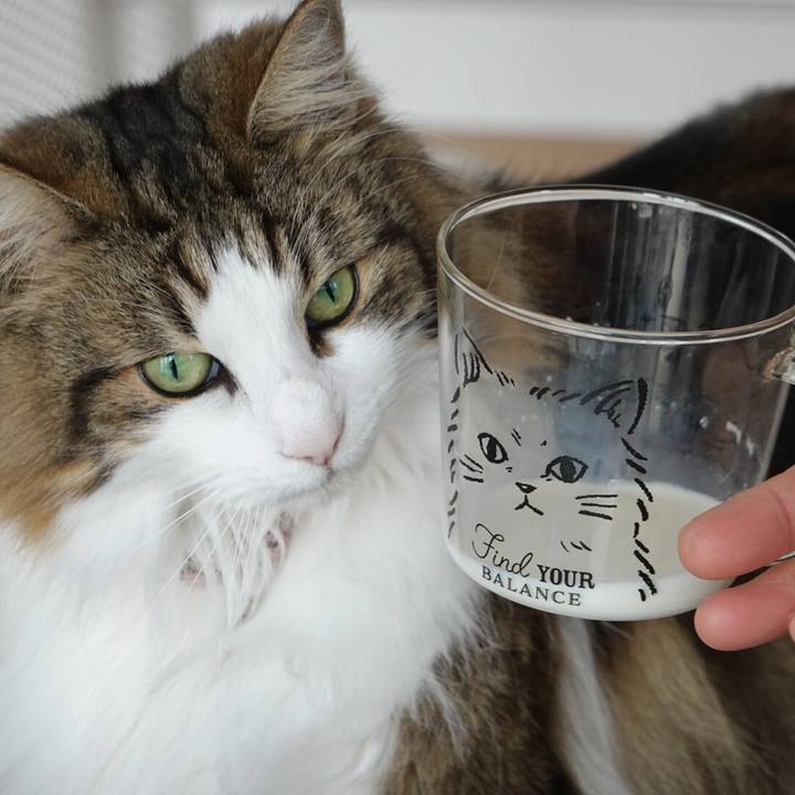 F5cf72eb 4560 48ac a47e 1f07751e785d 1586663437466