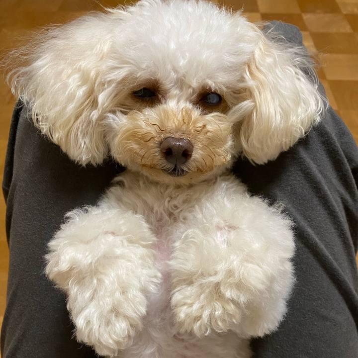 F5cf92b8 7de7 45ac b49a 8355496f83ab 1627298456665