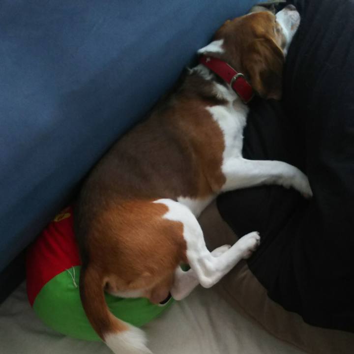 F5cfd137 494a 456c 8ae0 5c3c2d130aef 1633497463766