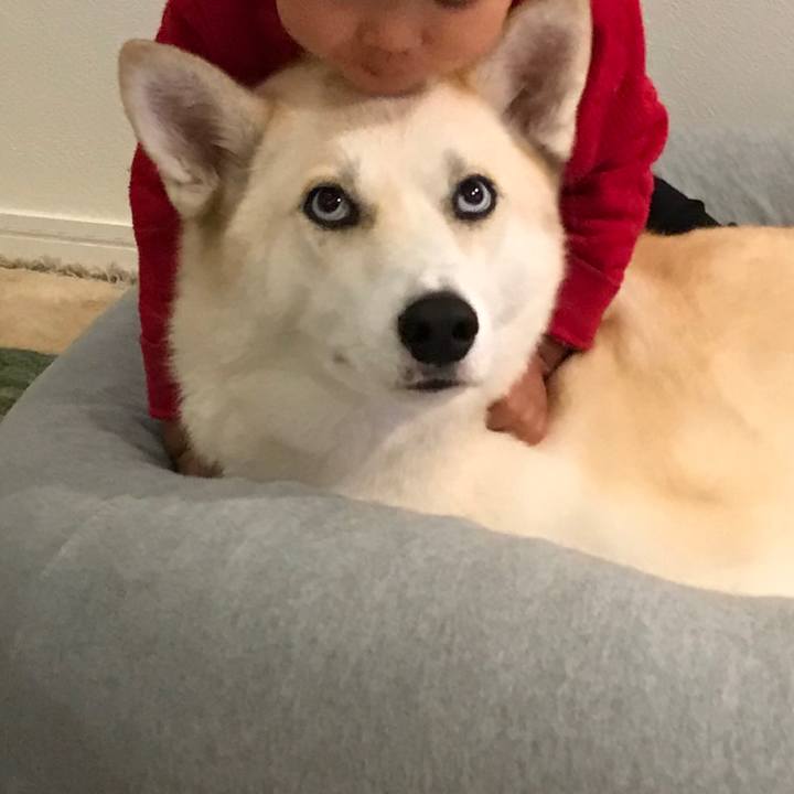 F5cfd318 4ee3 4219 991b 49f4c8cb014d 1513935141132