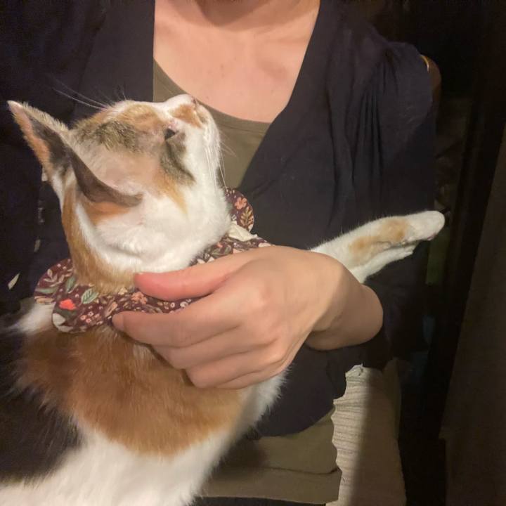 F5d03826 1cd2 4479 9ca2 31bc73c941c1 1754653734573