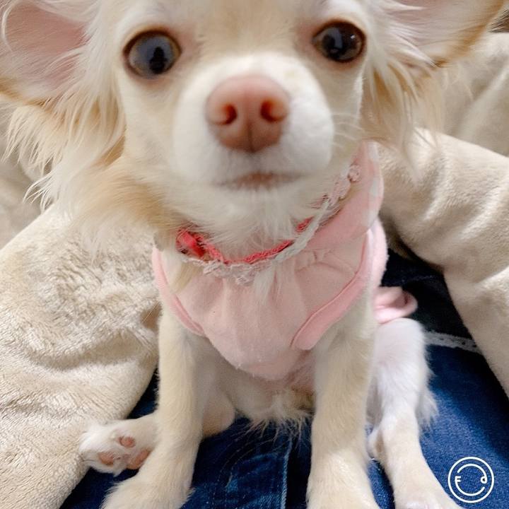 F5d08817 82c4 4c24 9a59 5446df35195d 1615189600844