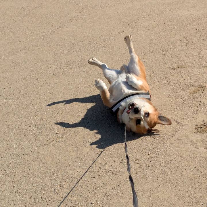 F5d09060 5f31 447c b76e 2dcdb3eee42e 1773660532326