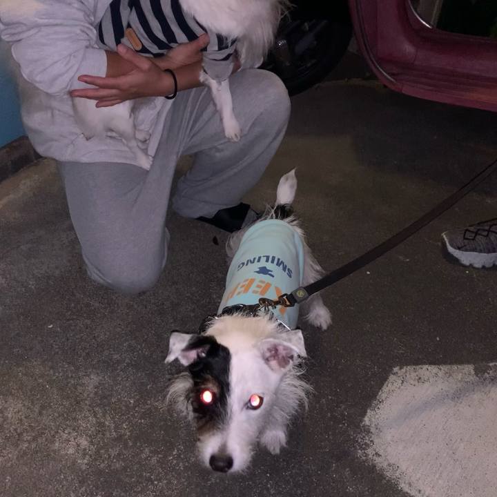 F5d09c17 7044 4baa b100 830a731ce27f 1666961838300