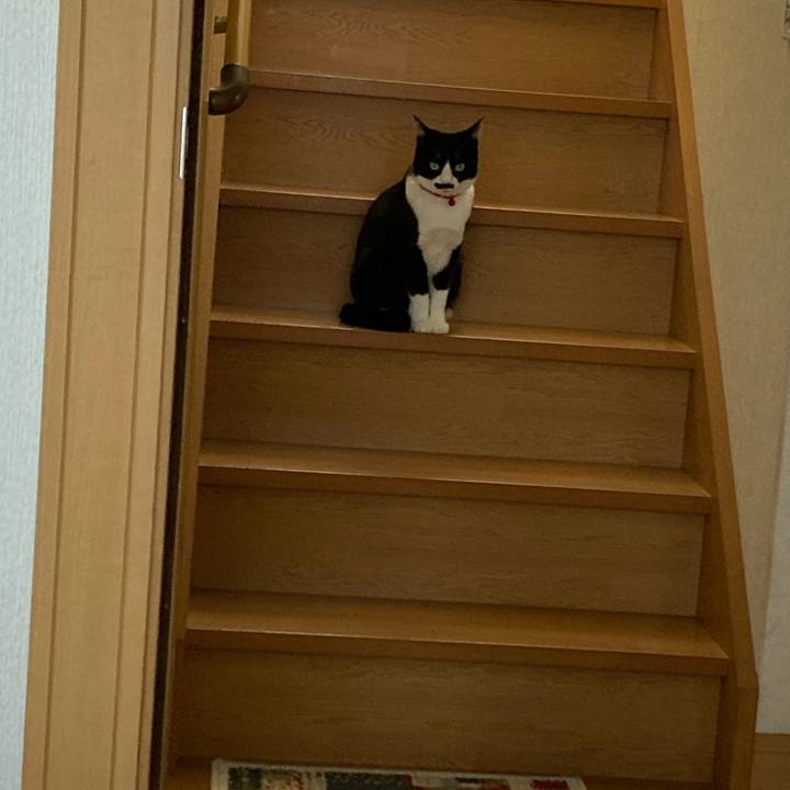 F5d0a0d6 f3bc 4e0b 8a4e 5488d13a993d 1745630715515