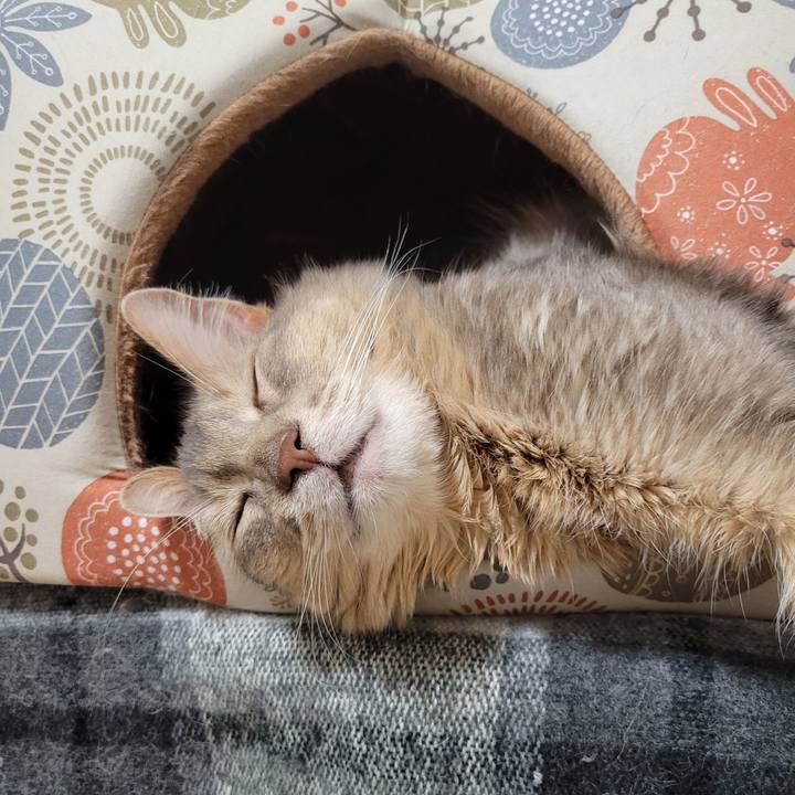 F5d0b03a 15d3 4669 ac17 1c881da7f326 1649157767183