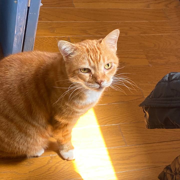 F5d0bdfc d4f8 491d 8887 2a576618edca 1587006728868