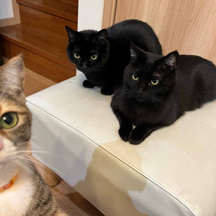 F5d0c2c5 59d9 4c84 92e0 e596ad566214 1675080673950