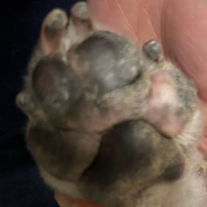 F5d0cc05 3351 4452 9c4d f806bb0e167c 1762418039024