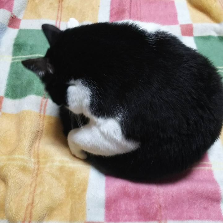 F5d0ccf7 5f8c 430a bd10 2cc018d48ebe 1544046797544