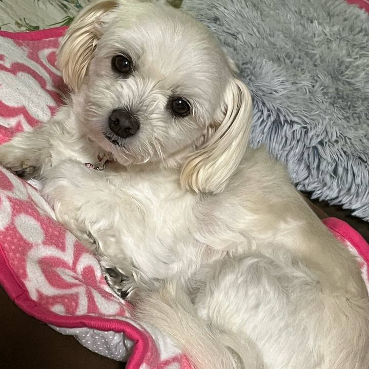 F5d0e5c4 07a0 451f 90fe 6512e5e97f3f 1669368309418