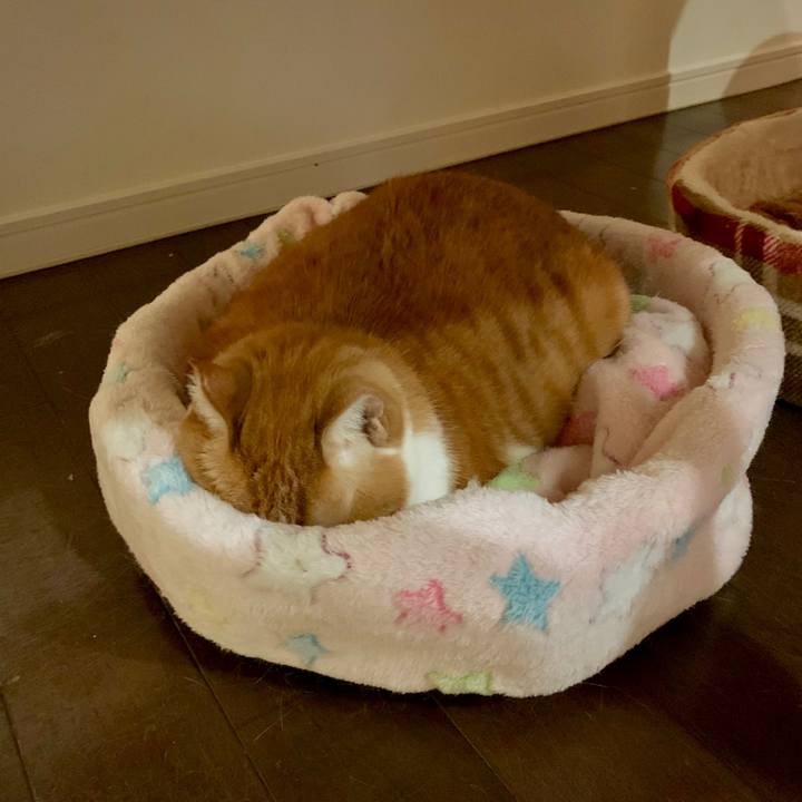 F5d0ea29 8de4 4b69 b7f9 3bae020f6005 1665156608772