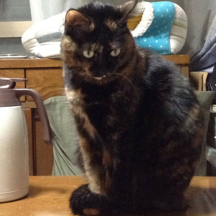 F5d107d6 0d53 499b bc7c ca2af15c27ef 1516972171450