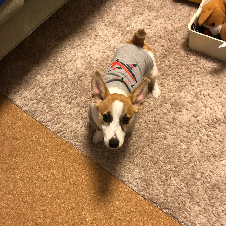 F5d10c95 90d3 4ae7 8446 9ef3423b9591 1552093151789