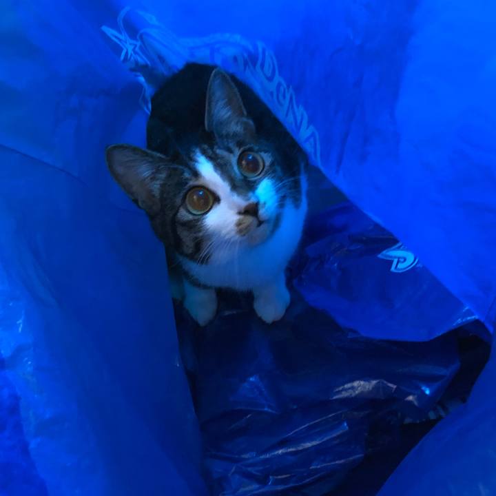 F5d165e1 9cb1 44bf 8fe7 fb3aed677241 1526271554604