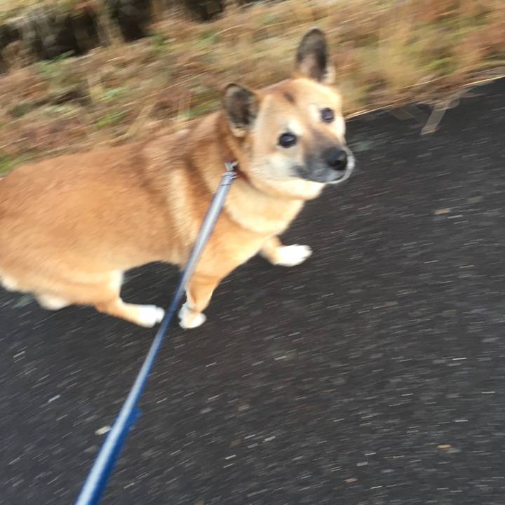 F5d19141 8f5c 4dd2 b03e 15f9879e802a 1515844589774