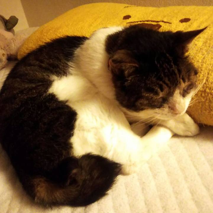 F5d1b897 4303 4cb8 82eb dd82c2d31fd5 1567247776945