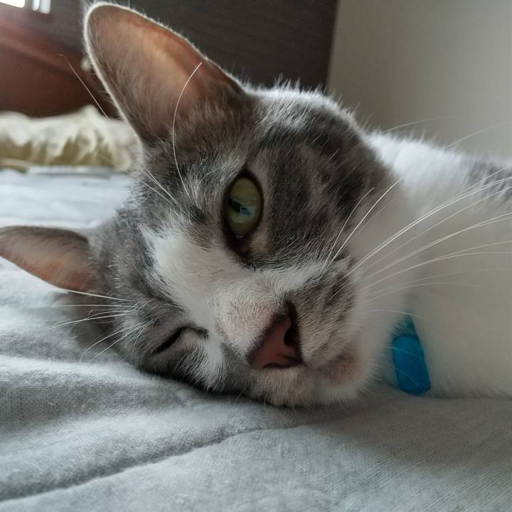 F5d1d715 9aa7 46a8 b6fc 901878945023 1597616611797