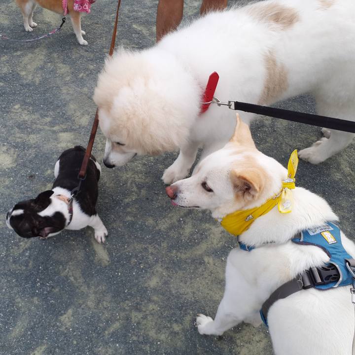 F5d1dcb1 fdf1 484f 9756 9094371e95b4 1659226090419