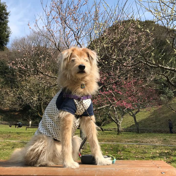 F5d20978 07f4 4d5f bde0 1c3fddea47a2 1551514064200