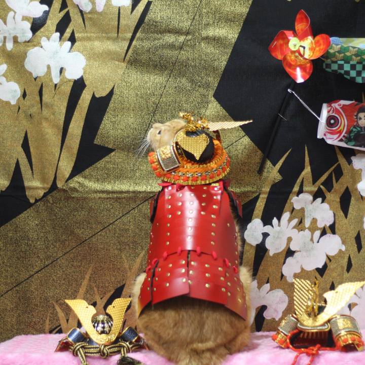 F5d22ddb 6e9d 424e 9793 7324b2c39c87 1746454853953