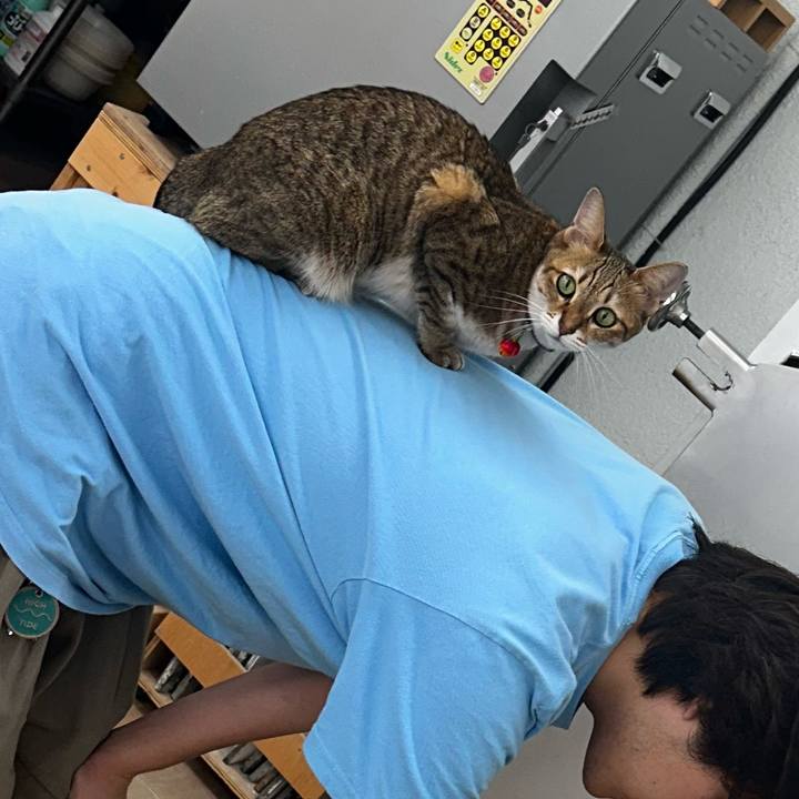 F5d23ff6 8307 4da4 a6fd 7ab7789aac7f 1758446584610