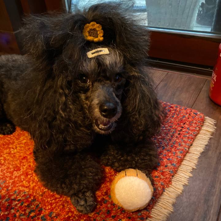 F5d241f2 fdfa 48d4 9550 039f7b505b37 1725412151867