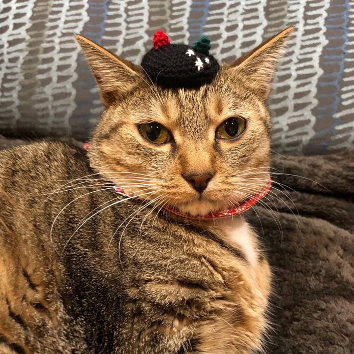 F5d242d3 3a82 4468 86ab d5316d9b5ca8 1671878515783