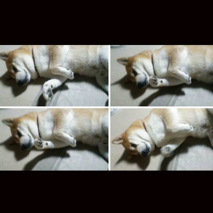 F5d24e61 83ec 42b5 8797 b4c684c7fdb6 1508389599870