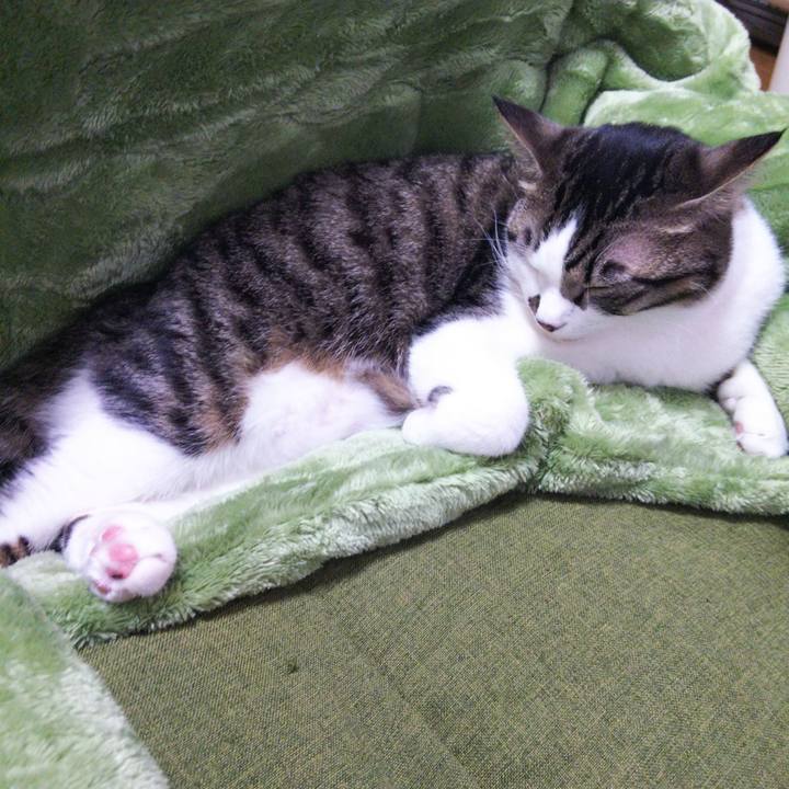 F5d25775 02a1 4dac a277 d2f9e84631fe 1635661617681