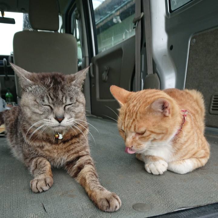 F5d2714f 5bc6 47ae bb49 f82009708b04 1563089171428