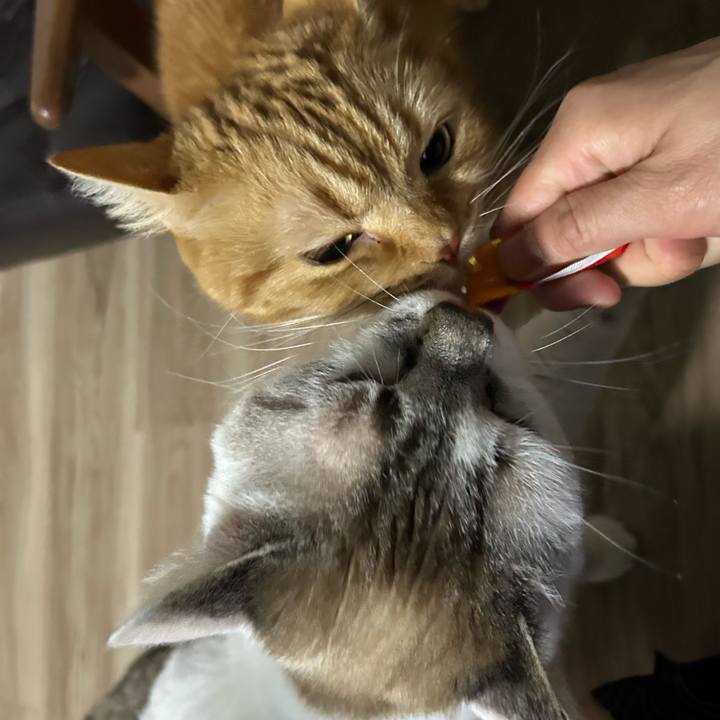 F5d2908f 4029 43a6 9389 ebfef0d3fcd2 1747143654538