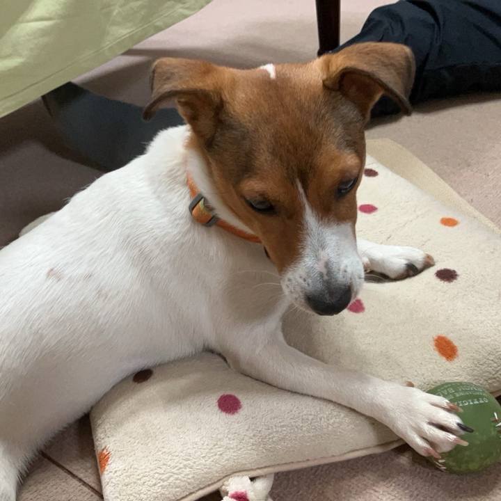 F5d295d0 0612 4378 b8f0 16a9f62767ea 1718423411983