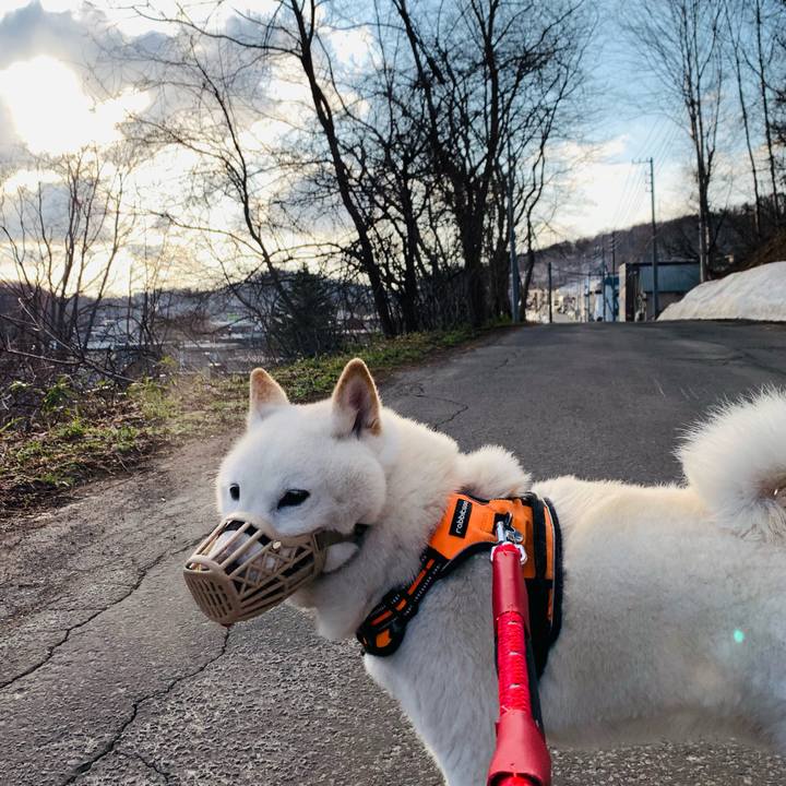 F5d2c10f 3342 4fd1 8291 c0d45f6921b6 1650058245420