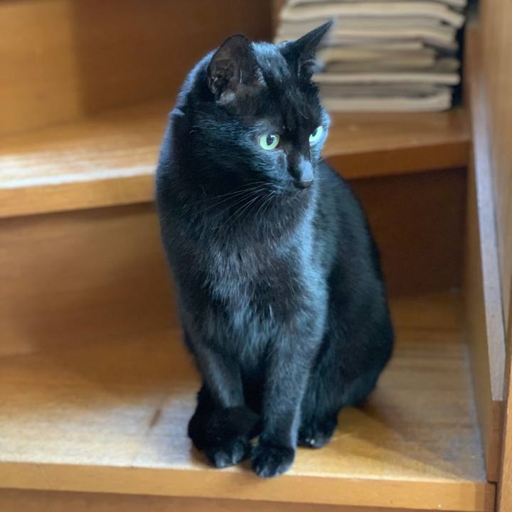 F5d2c45c 890c 4b4c bf1e 0236ee4a72c1 1542763781051