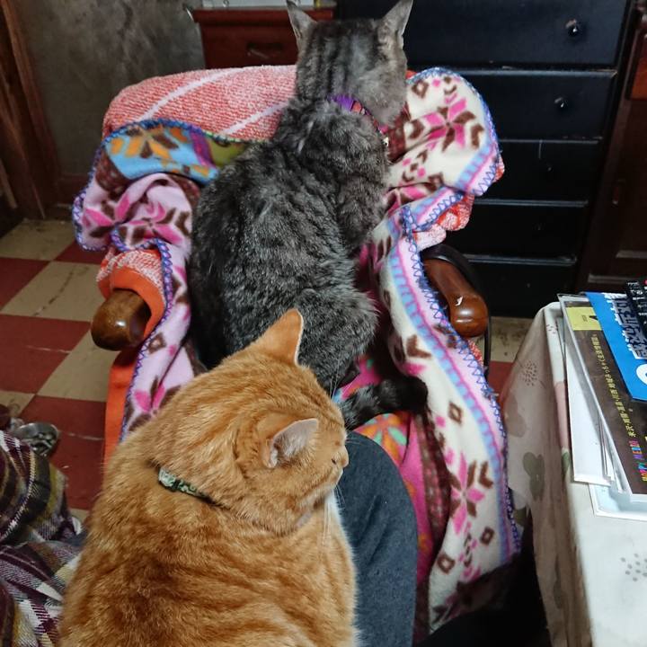 F5d2fe6f afcf 4999 9914 beccaff41fe7 1585454540819