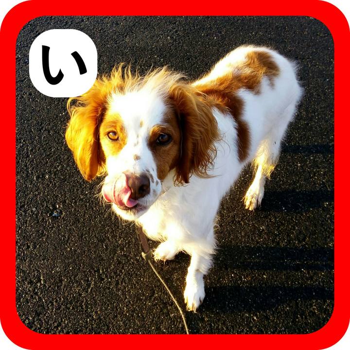 F5d30475 ebfa 44bf ac95 c01bb489ca75 1515152425480