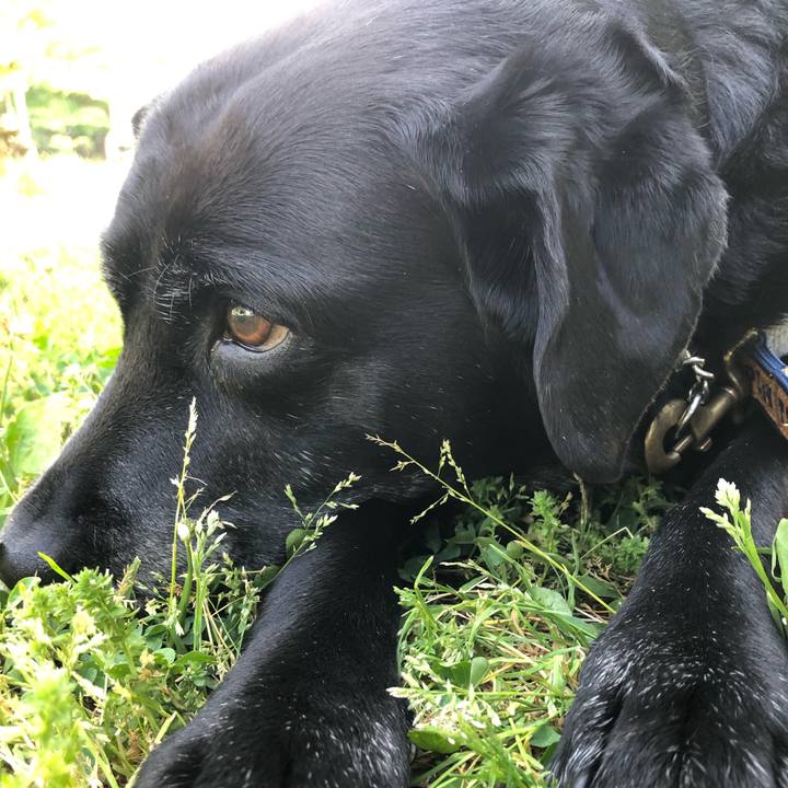 F5d30999 0894 44b2 bd96 13eb70abe9fb 1557991276378