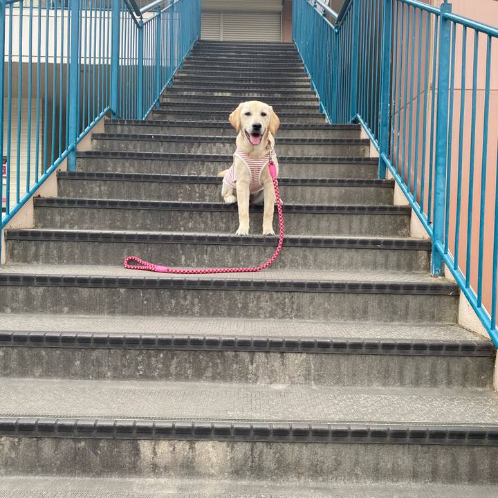 F5d3171f f98e 4697 9c93 6e4b2d71a29f 1619578249003