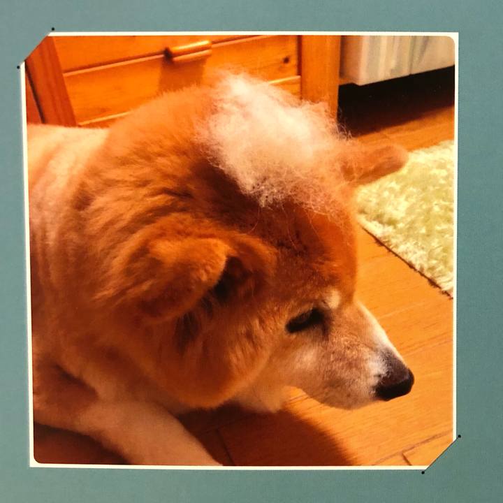 F5d323e4 c09c 4890 8845 346a6bfe607d 1604222933055