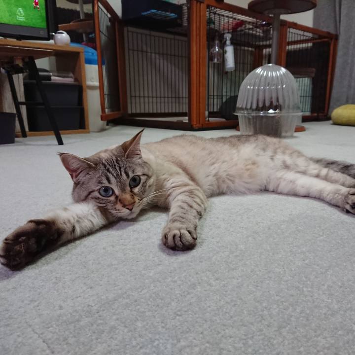 F5d32eb2 12ab 4626 93cb 810e5cd42092 1590578627210