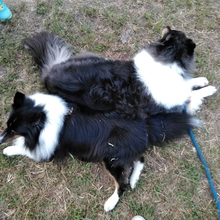 F5d3388f a980 4f61 af90 35a242a93517 1532007014735