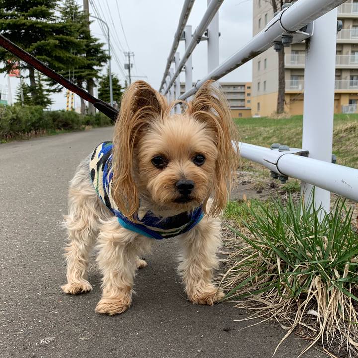 F5d3397c 18bf 4209 b042 29bec8fe9ae4 1556357337843