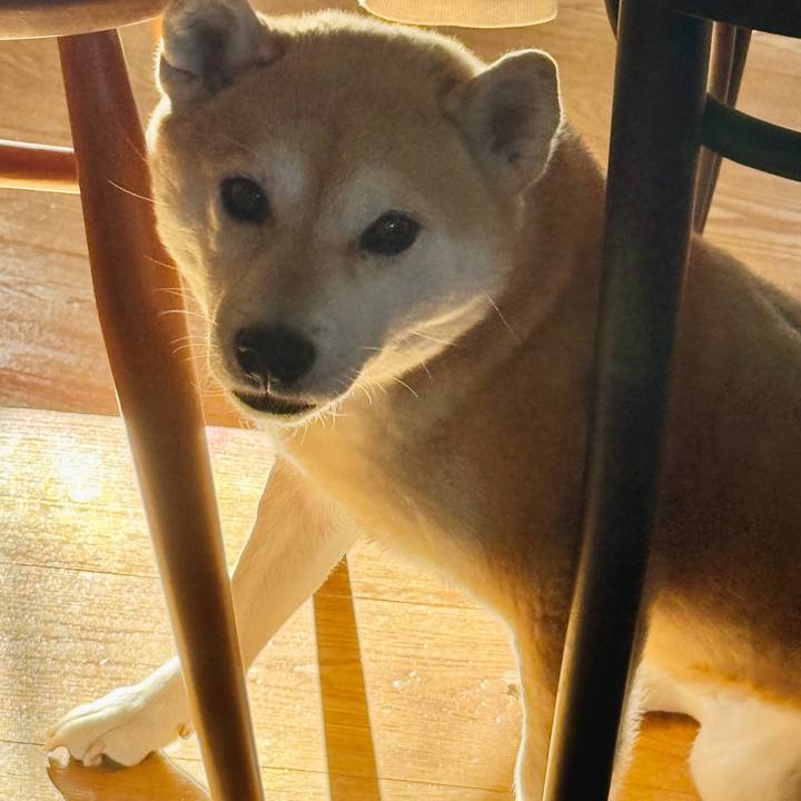 F5d3637f 0608 4218 a1b5 782971333387 1765182511523