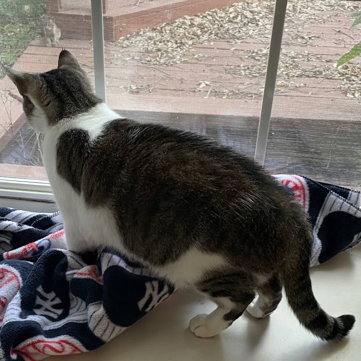 F5d374d7 febf 448d 9707 58dcb3abb382 1743908853631