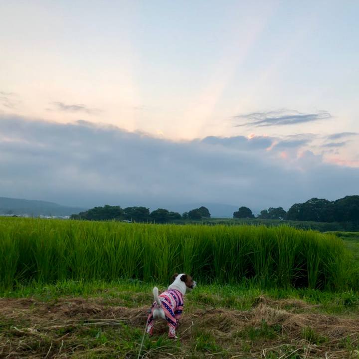 F5d3a7ab 40e4 4ed3 b5ce a18703ea3b26 1566042137600