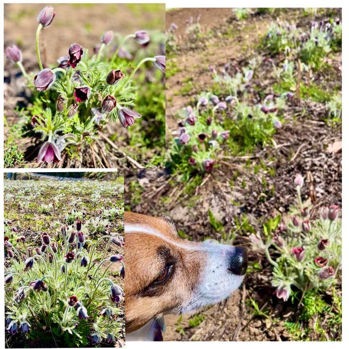 F5d3bae6 c76d 44c5 8daa a36055a060b4 1745488306663