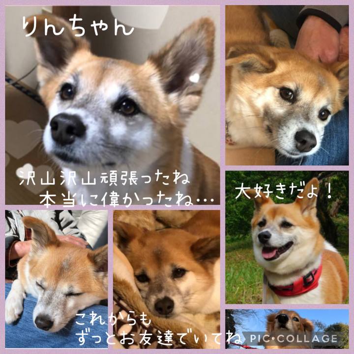 F5d3c6ab 5ef2 49f5 b18f c70c24d894f9 1675217124922